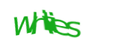 There is supposed to be an image captcha here, you could refresh the page or press the {0} button to try getting another image.